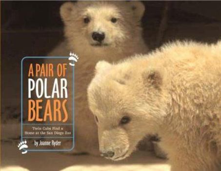 Hardcover A Pair of Polar Bears: Twin Cubs Find a Home at the San Diego Zoo Book