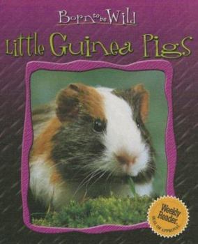 Little Guinea Pigs (Born to Be Wild) - Book  of the Born to be Wild