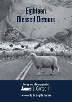 Paperback Eighteen Blessed Detours Book