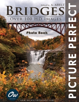 Paperback Bridges: Picture Perfect Photo Book
