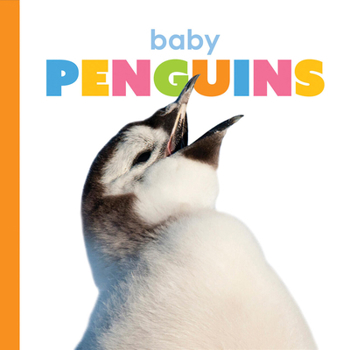 Baby Penguins - Book  of the Starting Out