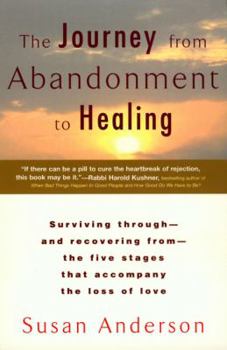 Paperback The Journey from Abandonment to Healing Book
