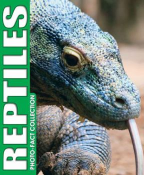 Reptiles Photo Fact Collection