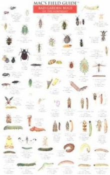 Pamphlet Mac's Field Guides: Northeast Garden Bugs Book