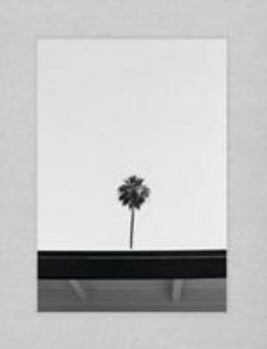 Hardcover PALM: A Visual Study of Palm Springs, California Book