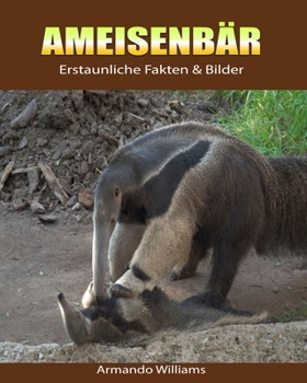 Paperback Ameisenb?r: Erstaunliche Fakten & Bilder [German] Book