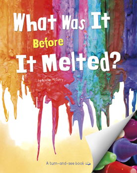 Paperback What Was It Before It Melted? Book