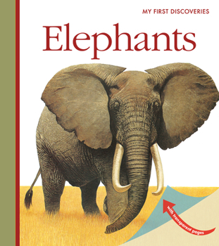 Spiral-bound Elephants Book