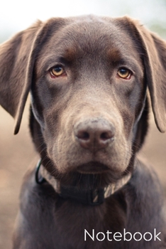Notebook: Cute Dogs Notebook; Dog Notebook; Puppy Notebook; Dog Breeds Notebook; I Like Dogs More Than People; 6X9inch Notebook with 108-wide lined pages