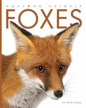 Paperback Foxes Book