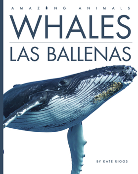 Library Binding Whales / Las Ballenas [Spanish] Book