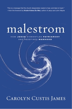 Hardcover Malestrom: Manhood Swept Into the Currents of a Changing World Book