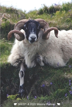 SHEEP! A 2020 Weekly Planner: Cover Sheep: July (Best Laid Plans)