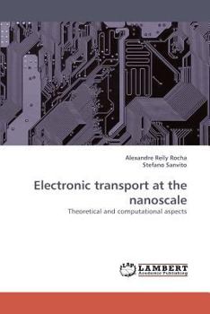Paperback Electronic Transport at the Nanoscale Book