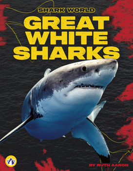 Great White Sharks