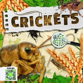 Hardcover Crickets Book