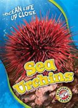 Sea Urchins - Book  of the Ocean Life Up Close