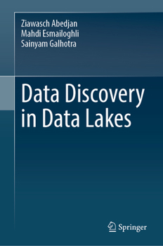 Hardcover Data Discovery in Data Lakes Book