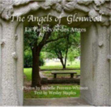 Hardcover The Angels of Glenwood Book