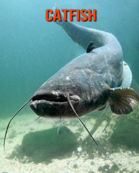 Catfish: Beautiful Pictures & Interesting Facts Children Book About Catfish