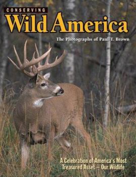 Hardcover Conserving Wild America Book