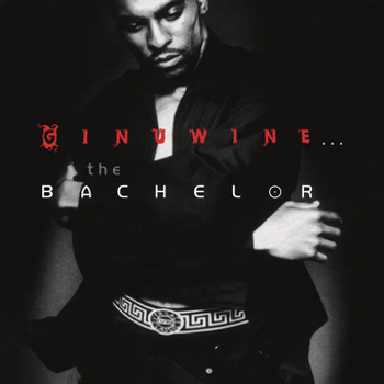 Vinyl Ginuwine: The Bachelor Book