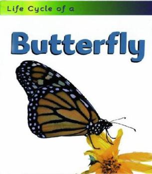 Paperback Butterfly (Life Cycle of A) Book