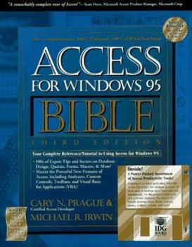 Paperback Access for Windows 95 Bible Book