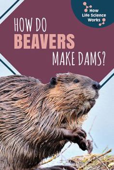 Paperback How Do Beavers Make Dams? Book