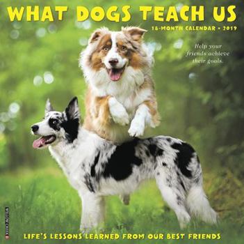 Calendar What Dogs Teach Us 2019 Wall Calendar Book