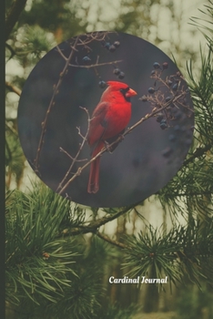 Paperback Cardinal Journal: Visitor From Heaven Book