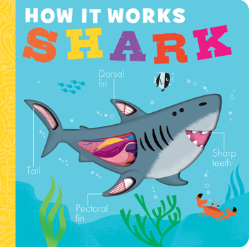 Board book How It Works: Shark Book