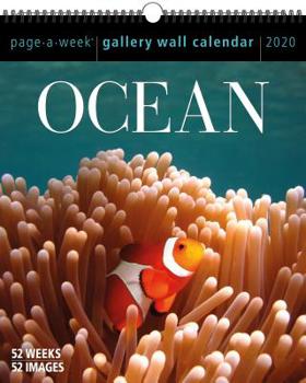 Calendar Ocean Page-A-Week Gallery Wall Calendar 2020 Book