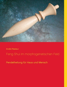 Paperback Feng Shui im morphogenetischen Feld: Pendelheilung für Haus und Mensch [German] Book