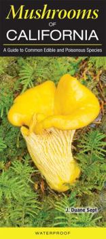 Mushrooms of California: A Guide to Common Edible and Poisonous Species