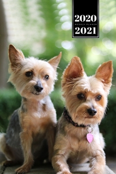Yorkshire Terrier Dog Calendar Week Planner 2020 / 2021 - Lovely Couple: Pup Puppy Doggie Pet Owner Weekly Bullet Journal Notebook Diary in 6” x 9” Inch Pocket Size