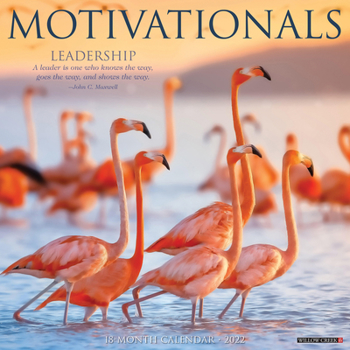 Calendar Motivationals 2022 Wall Calendar Book