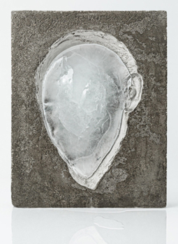 Hardcover Tania Pérez Córdova: Generalization Book