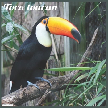 Toco Toucan 2021 Wall Calendar: Official Toucan Wall Calendar 2021