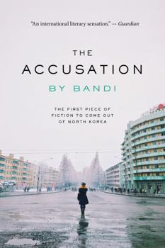 Paperback The Accusation Book