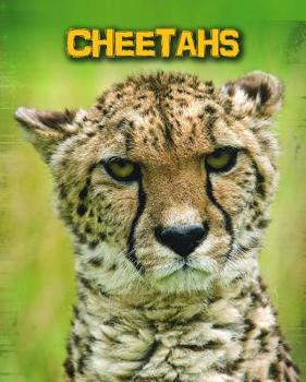 Library Binding Cheetahs Book