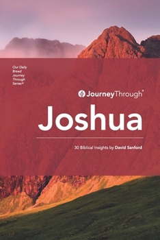 Journey Through Joshua: 30 Biblical Insights by David Sanford (Journey Through Series: History)