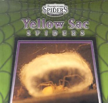 Yellow Sac Spiders (Dangerous Spiders) - Book  of the Dangerous Spiders