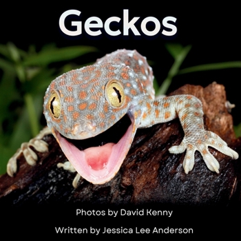 Geckos : Come Meet Some Vocal, Fascinating Lizards!
