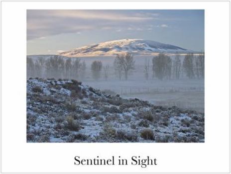 Hardcover Sentinel in Sight Book