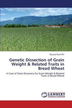 Paperback Genetic Dissection of Grain Weight & Related Traits in Bread Wheat Book