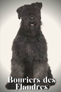 Paperback Bouviers des Flandres: Dog breed overview and guide Book