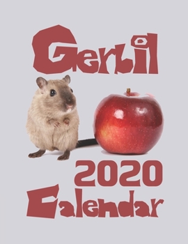 Paperback Gerbil 2020 Calendar Book