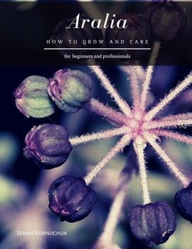 Aralia: How to grow and care
