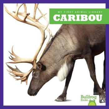 Caribou - Book  of the My First Animal Library
